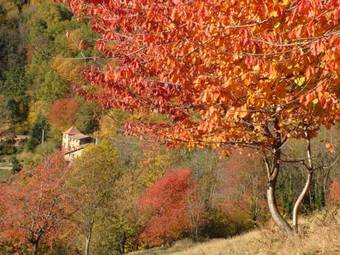 Agroturismo Casa Etxalde