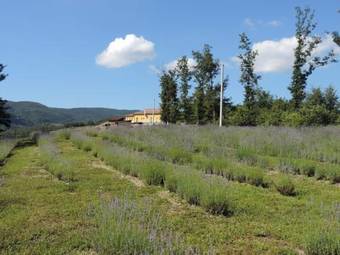 Agroturismo Societ� Agricola Cacigolara