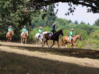Agroturismo Fattoria Battilana