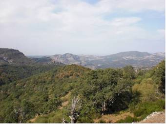 Agroturismo Valle Del Tuejar