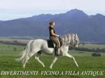 Bed & Breakfast Villa Antique