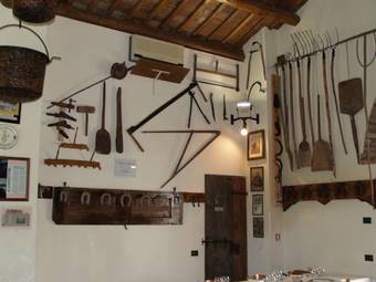 Hostal Agriturismo Le Clementine