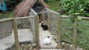 Bed & Breakfast Pousada Ch�cara Do Rio