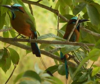 The Pickled Onion Eco-boutique B&B