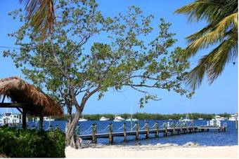 Hotel Coconut Palm Inn