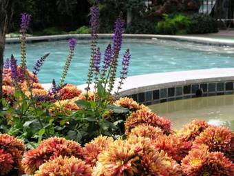 Hotel Roman Spa Resort