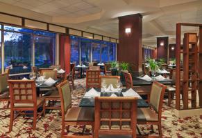 Hotel Sheraton Suites Chicago Elk Grove