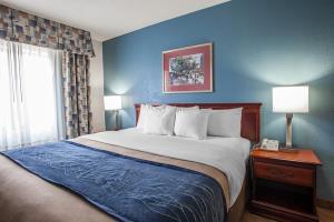 Hotel Comfort Inn & Suites Lees Summit -kansas City