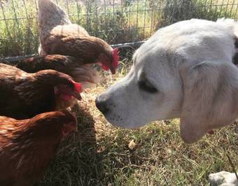 Agroturismo Cabecas Do Reguengo