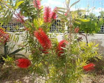 Hostal Hospedaria Rita