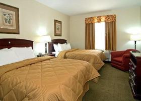 Hotel Comfort Inn Rockdale