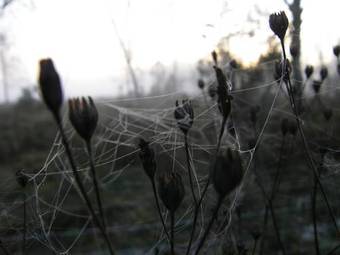 Hallebergs Bed&breakfast