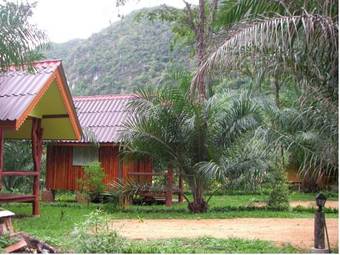 Hotel Shonghai Forest Resort