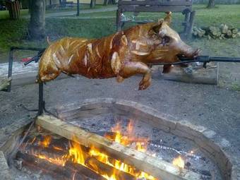 Resort Beach Nov� Zivohost