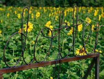 Hotel Wij Tr�dg�rdar