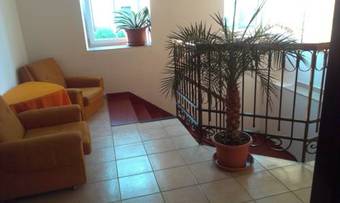 Apartamentos Pension Doctor