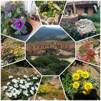 Agroturismo Oasi Del Cervo