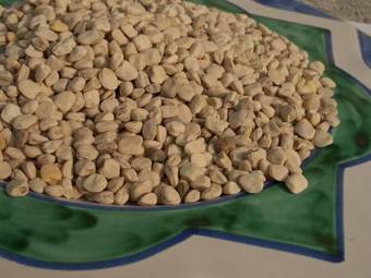 Agroturismo B&B Bosimano