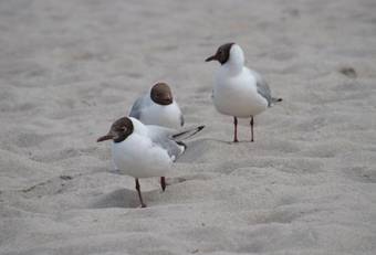 Apartment Romantik Flair