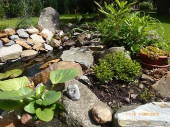 Apartm�ny Ag�ta Abertamy