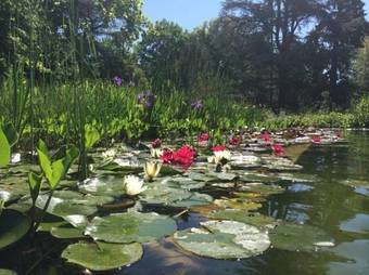 Bed & Breakfast Chateau Mezger