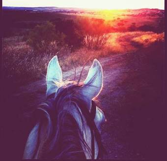 Agroturismo Herdade D. Pedro