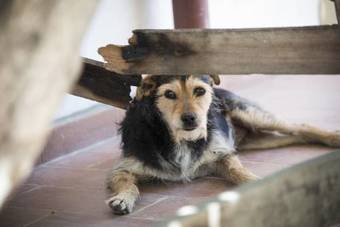 Agroturismo Agriturismo L'isola