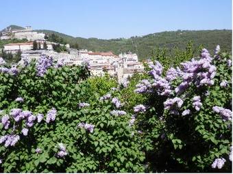 Hotel Villa Stella