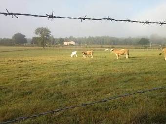 Bed & Breakfast La Ferme De L'orme-vial