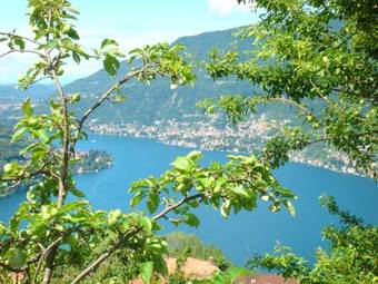 Bed & Breakfast Casa Filomena