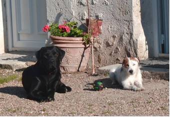 Bed & Breakfast La Closerie De L'aventure