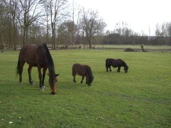 L'atelier De Campagne Aux Aires En Sc�nes