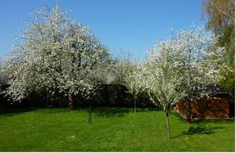 Apartamentos Chambre D'h�tes De Florence