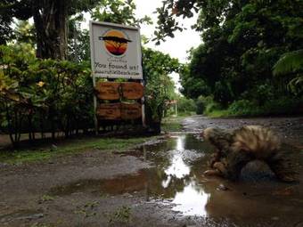 Bed & Breakfast Rafiki Beach Camp