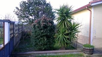 Case Vacanza Sa Mitza