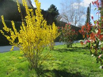 Bed & Breakfast Chambre Et G�te Zen De Beauval- 800 M Du Zooparc