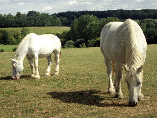 Apartamento Belleme Resort