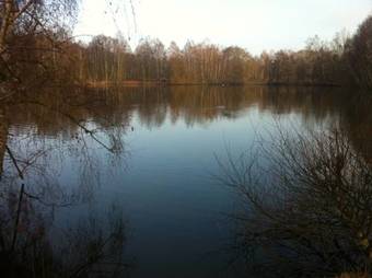 Bed & Breakfast R�sidence Clairbois, Chambres D'h�tes