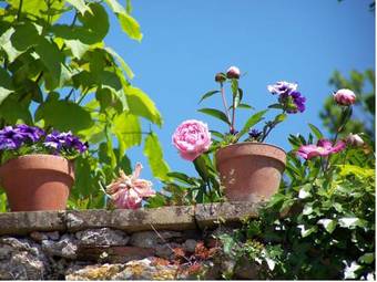 Bed & Breakfast Chambre D'h�tes Les 3 Cochons D'olt