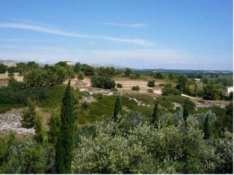 Les Garrigues De La Vall�e Des Baux