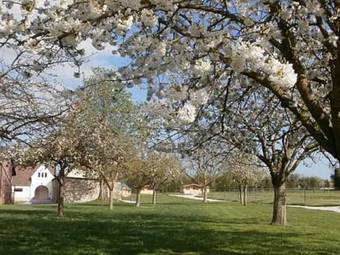 Hostal Domaine De Soignolles