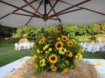 Agroturismo Agriturismo Pantano Borghese