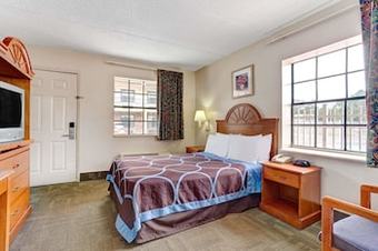 Motel Super 8 By Wyndham Tampa U.s.f. Near Busch Gardens Downtown