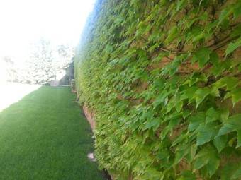 Hotel Castillo De Pilas Bonas