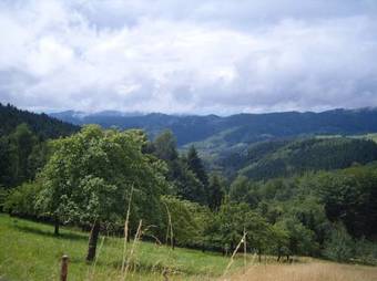 Apartamento Langenberghof