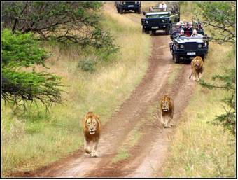 African Spirit Game Lodge