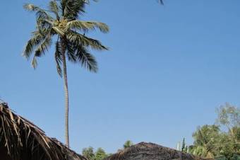 Hotel Agonda Banyan Tree Beach Huts