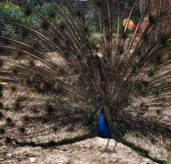 Agroturismo Coscio Di Badia