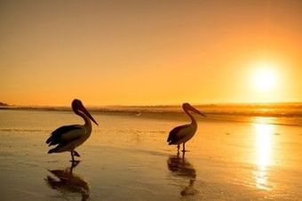 North Coast Holiday Parks Shaws Bay