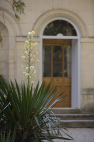 Hotel Le Ch�teau Des Alpilles